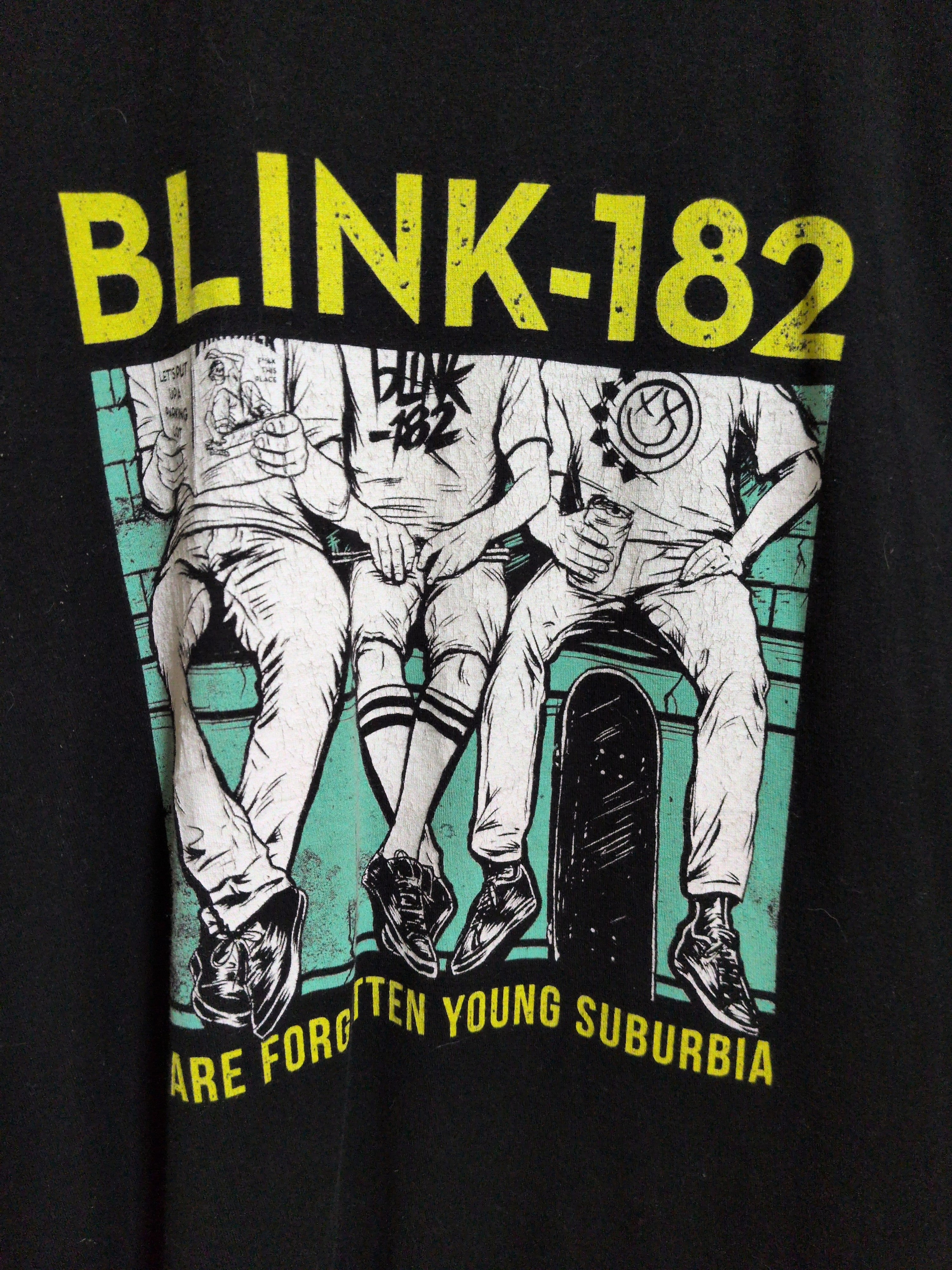 Tultex Blink-182 We Are Forgotten Tee - (L)