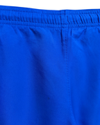 2016-17 Nike France Home Shorts - (W28 x L15)