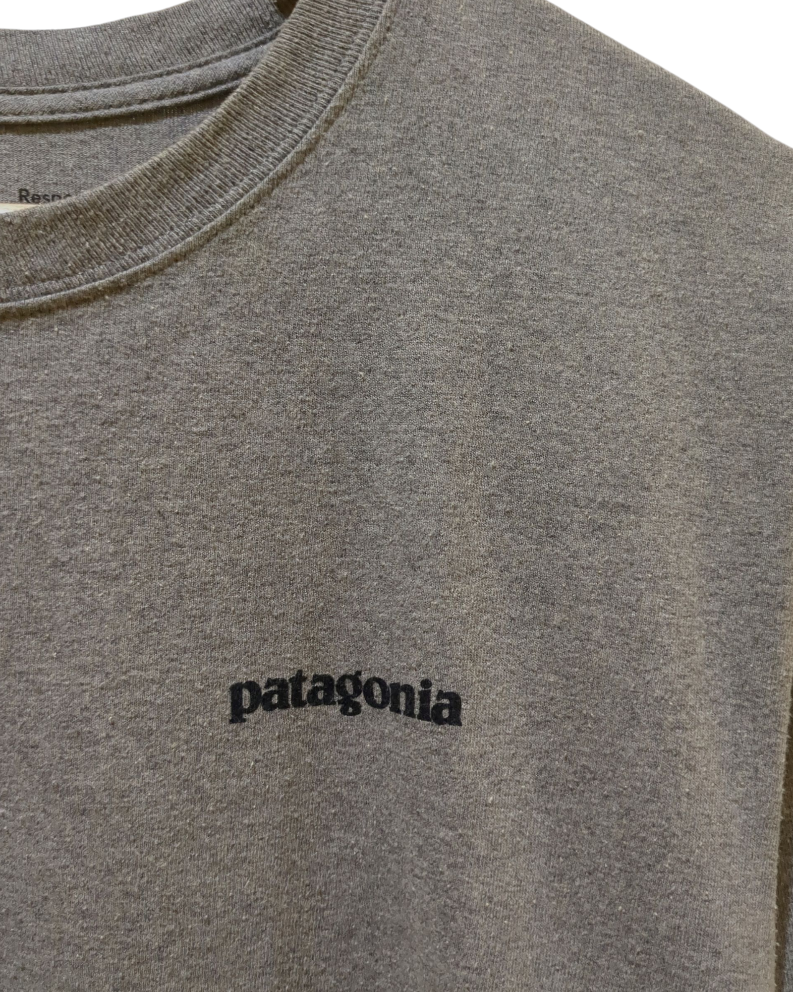 Patagonia P-6 Logo Responsibili Tee - (M)
