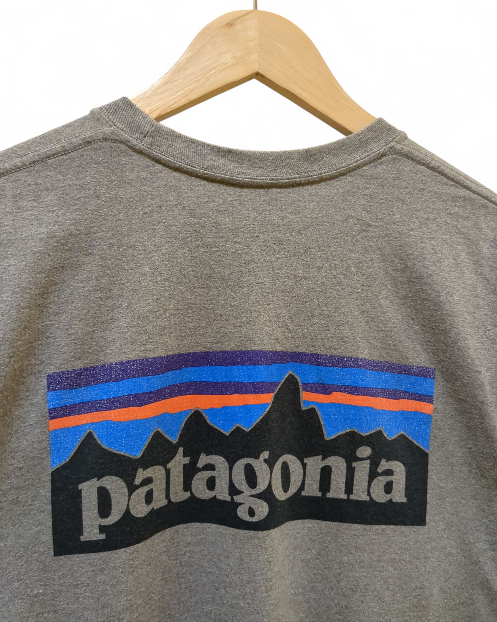 Patagonia P-6 Logo Responsibili Tee - (M)