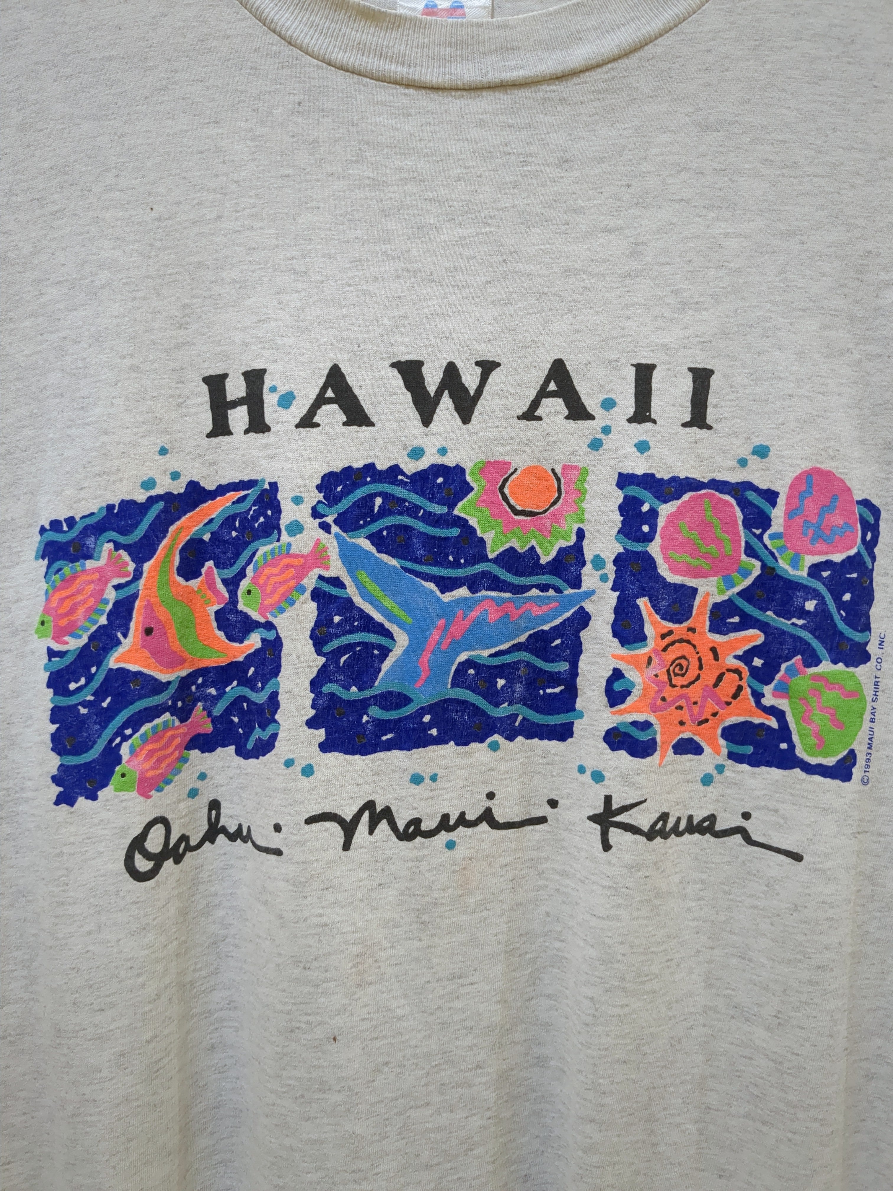 Model-T 1993 Maui Bay Hawaii Single Stitch Tee - (M)