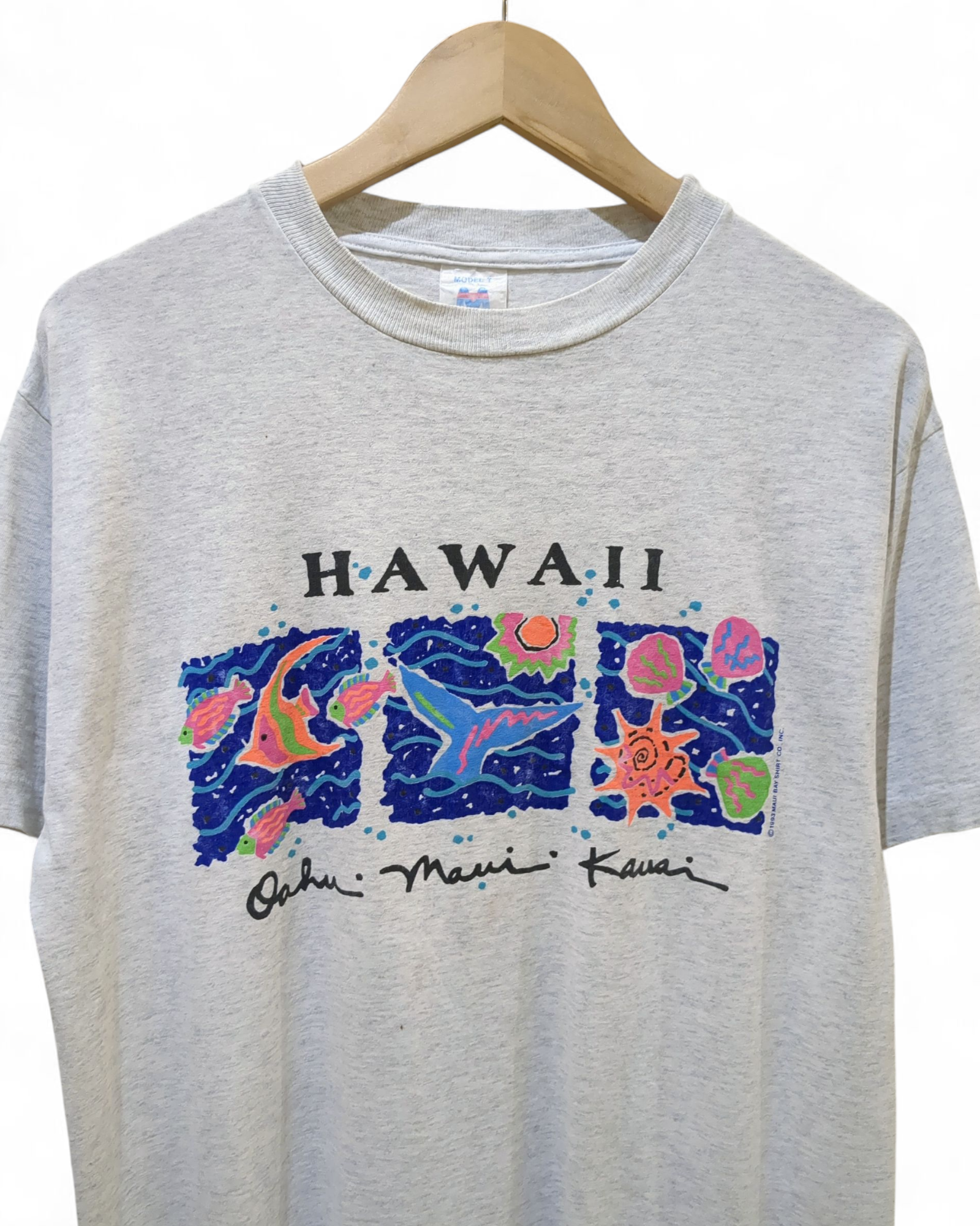 Model-T 1993 Maui Bay Hawaii Single Stitch Tee - (M)
