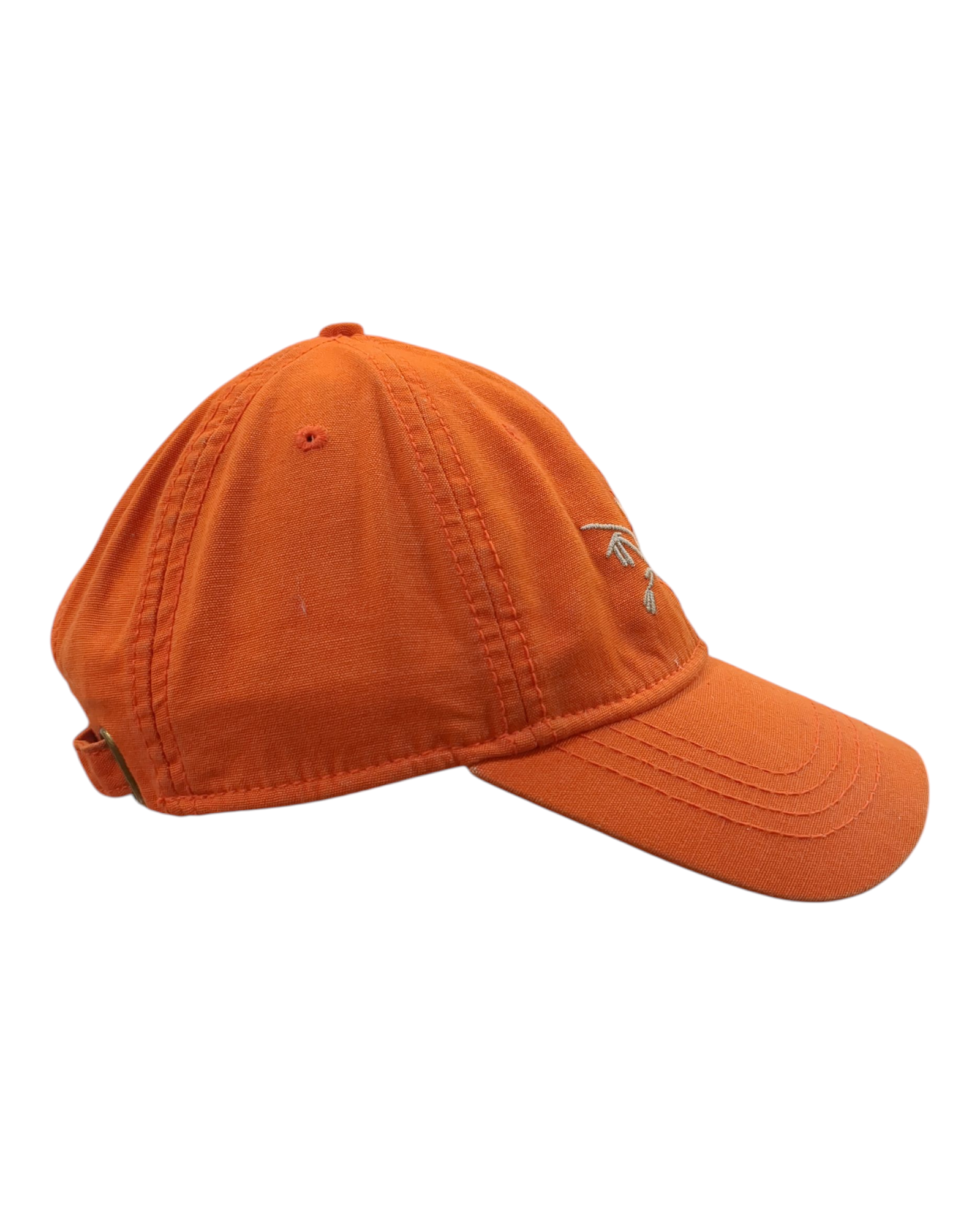 Arc'teryx 00s Logo Baseball Cap