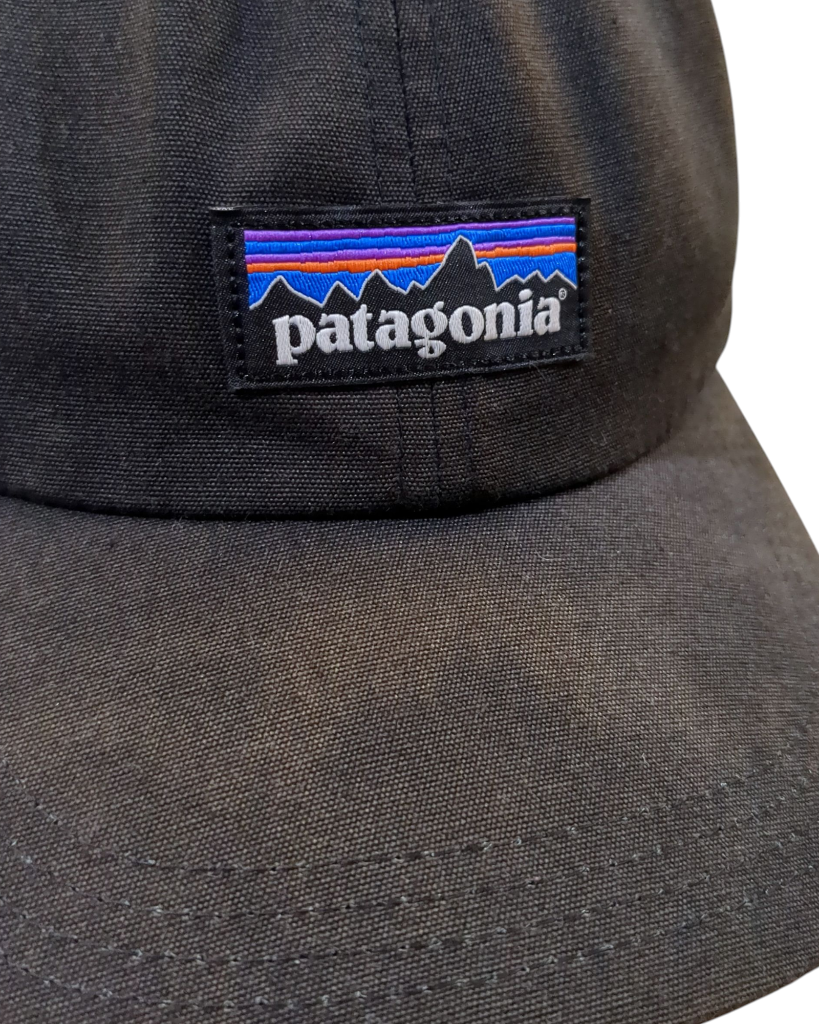 Patagonia P-6 Label Trad Cap
