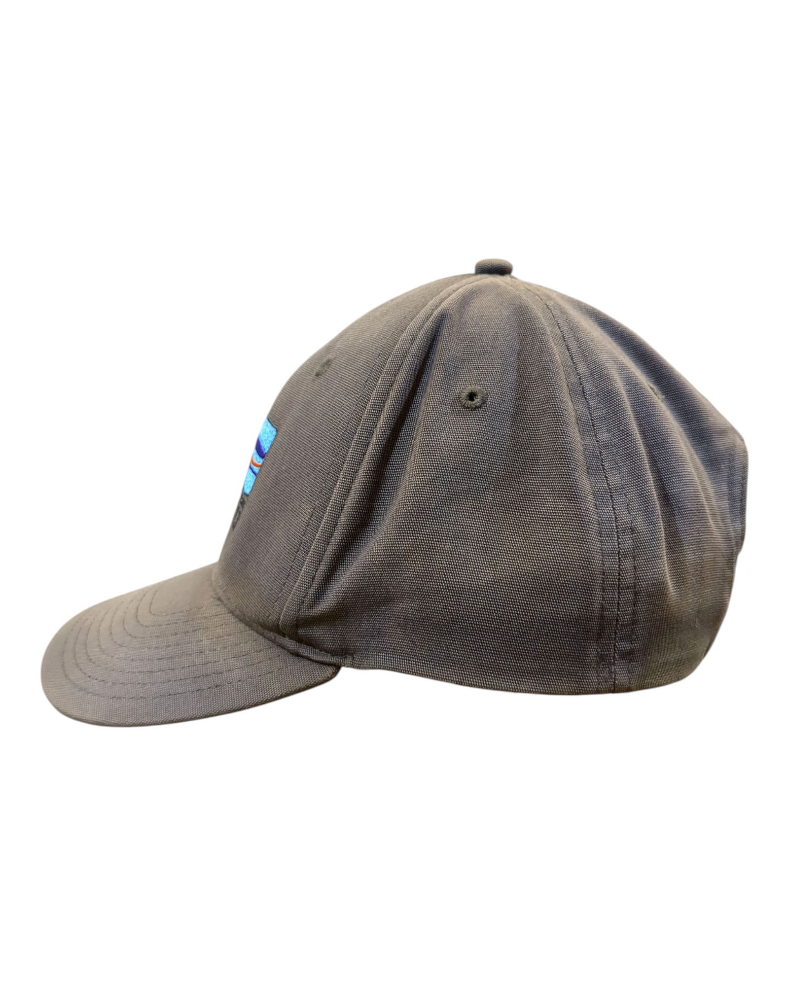 Patagonia Fitz Roy Horizons Trad Cap