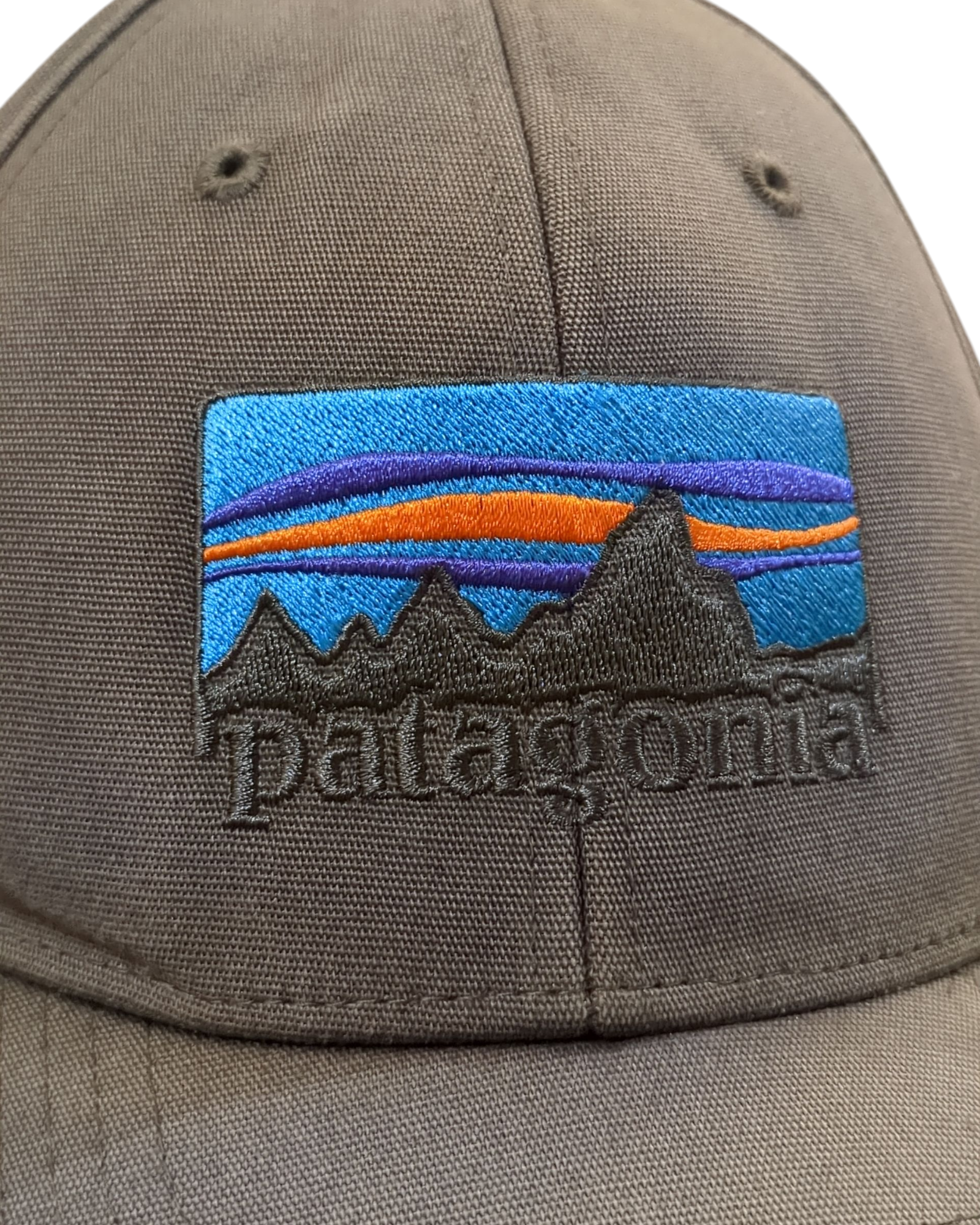 Patagonia Fitz Roy Horizons Trad Cap