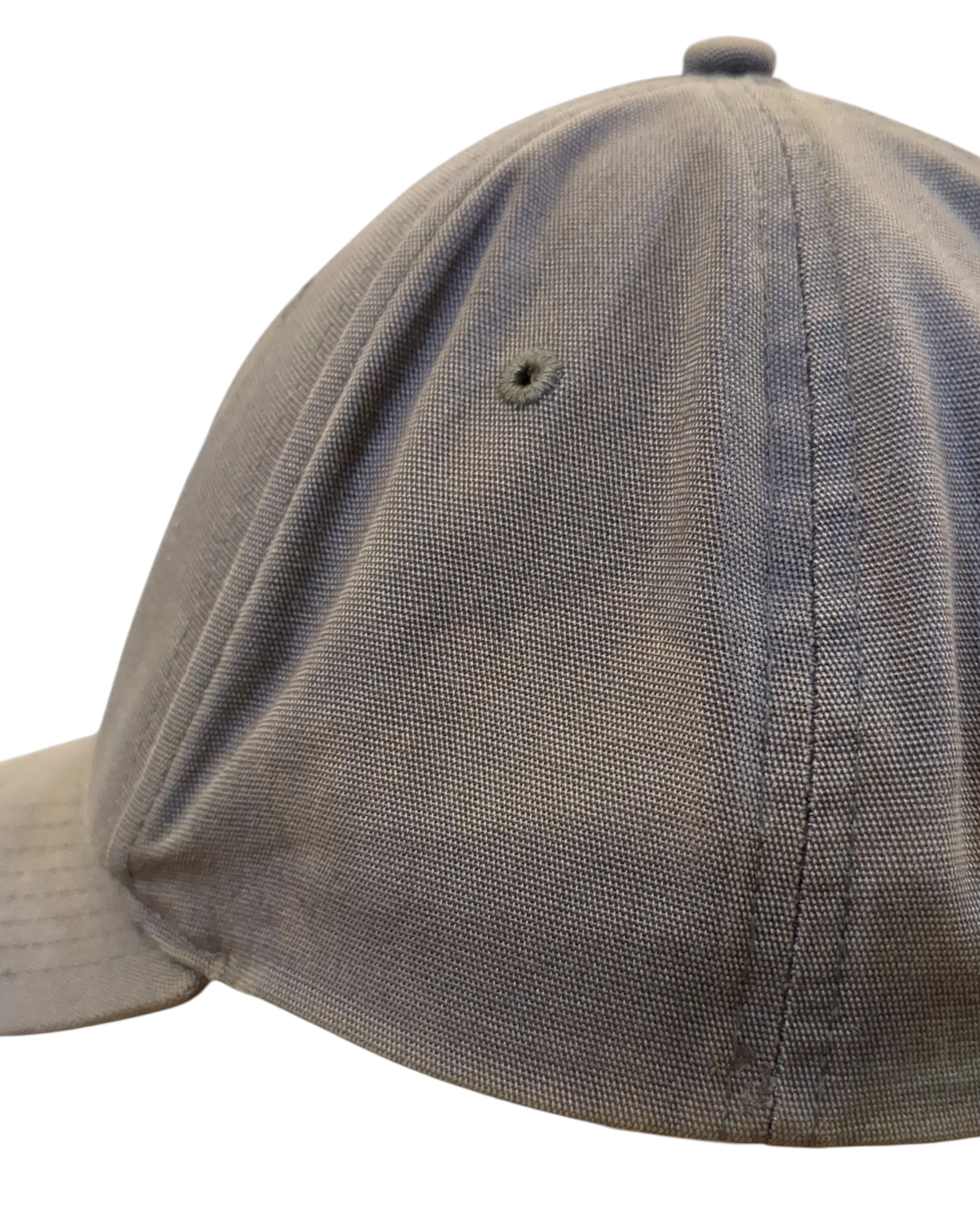 Patagonia Fitz Roy Horizons Trad Cap