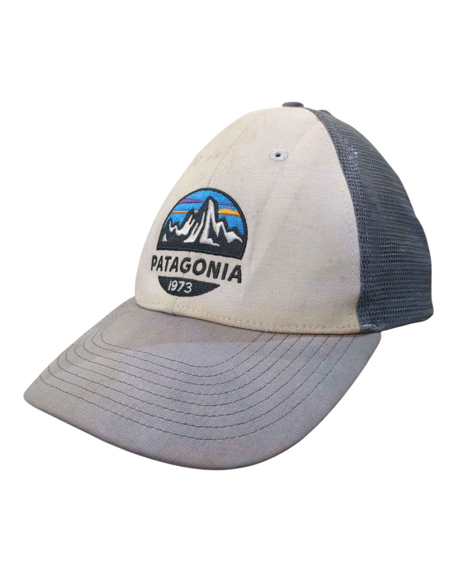 Patagonia Fitz Roy Scope LoPro Trucker Cap