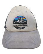 Patagonia Fitz Roy Scope LoPro Trucker Cap