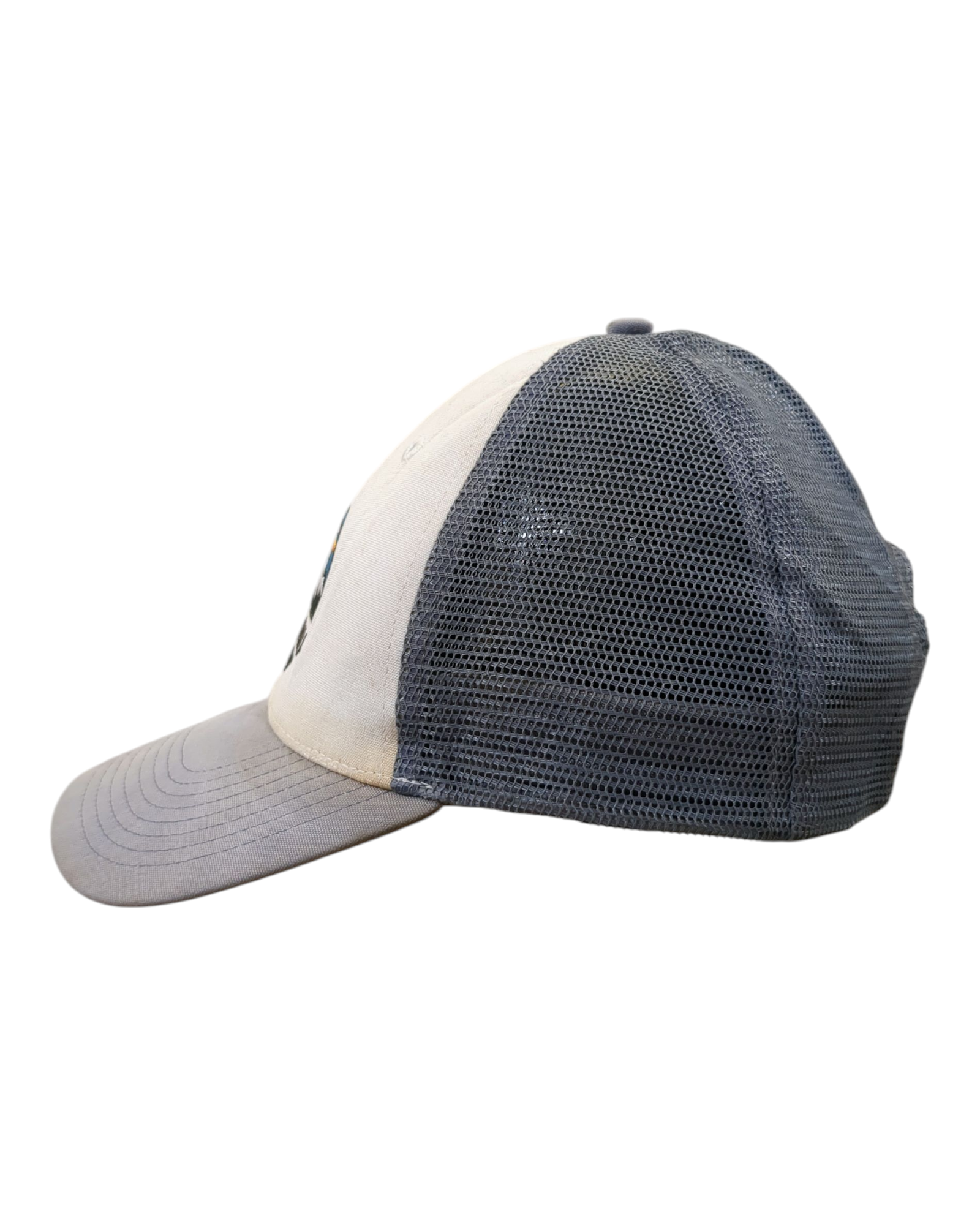 Patagonia Fitz Roy Scope LoPro Trucker Cap