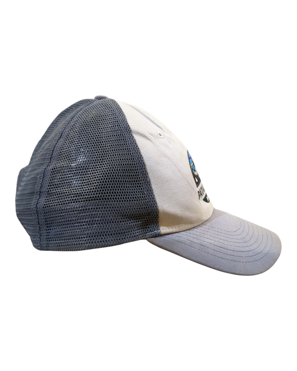 Patagonia Fitz Roy Scope LoPro Trucker Cap