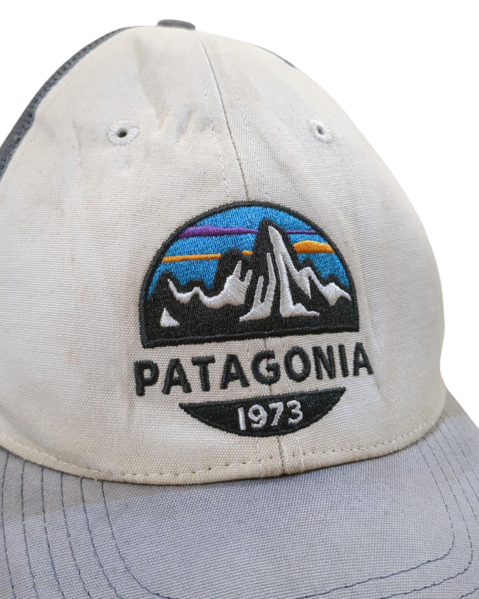Patagonia Fitz Roy Scope LoPro Trucker Cap
