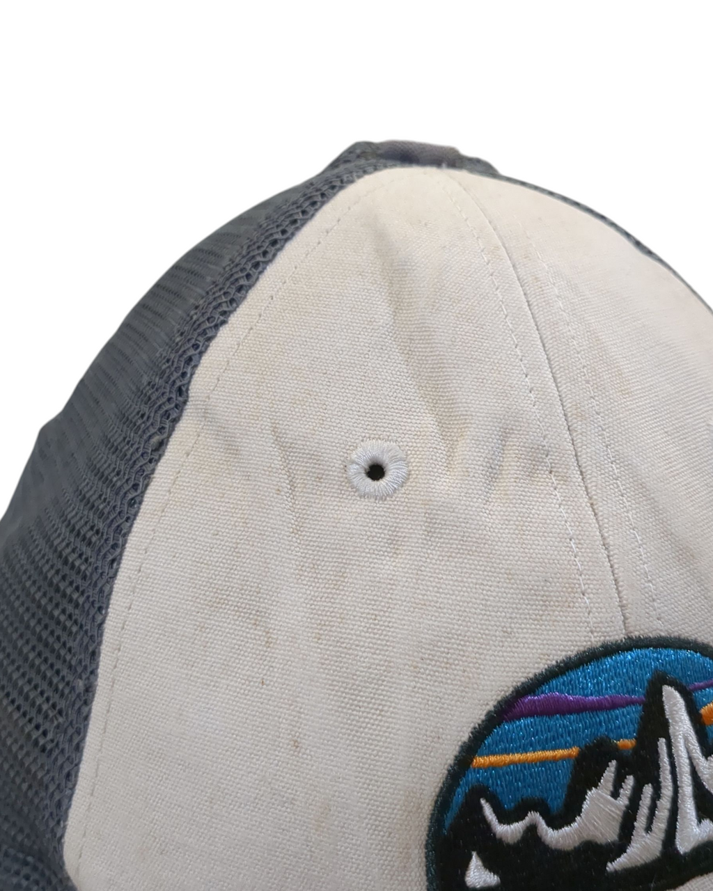 Patagonia Fitz Roy Scope LoPro Trucker Cap