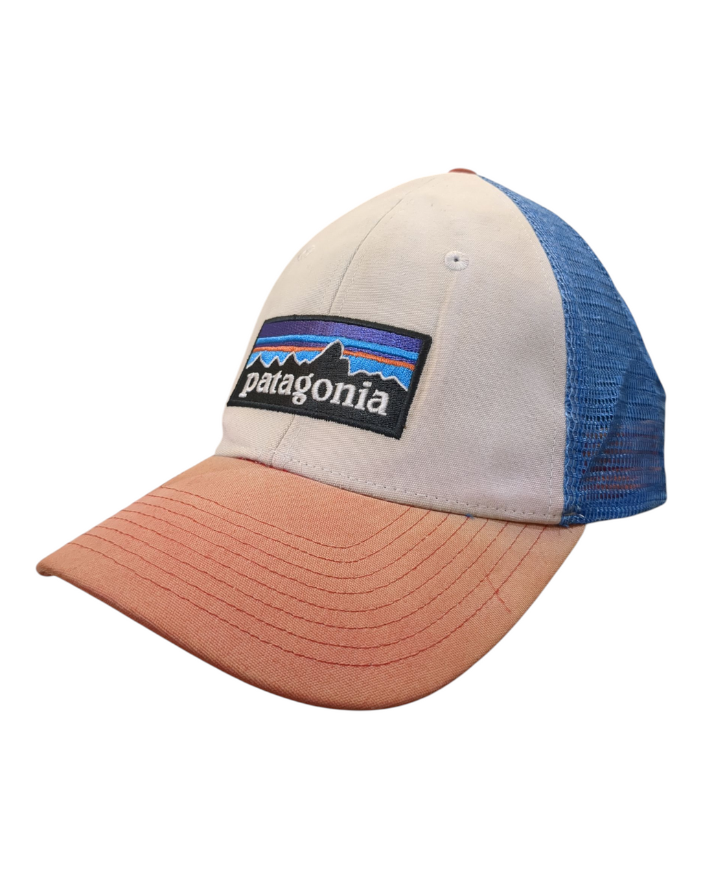 Patagonia P-6 Logo LoPro Trucker Cap
