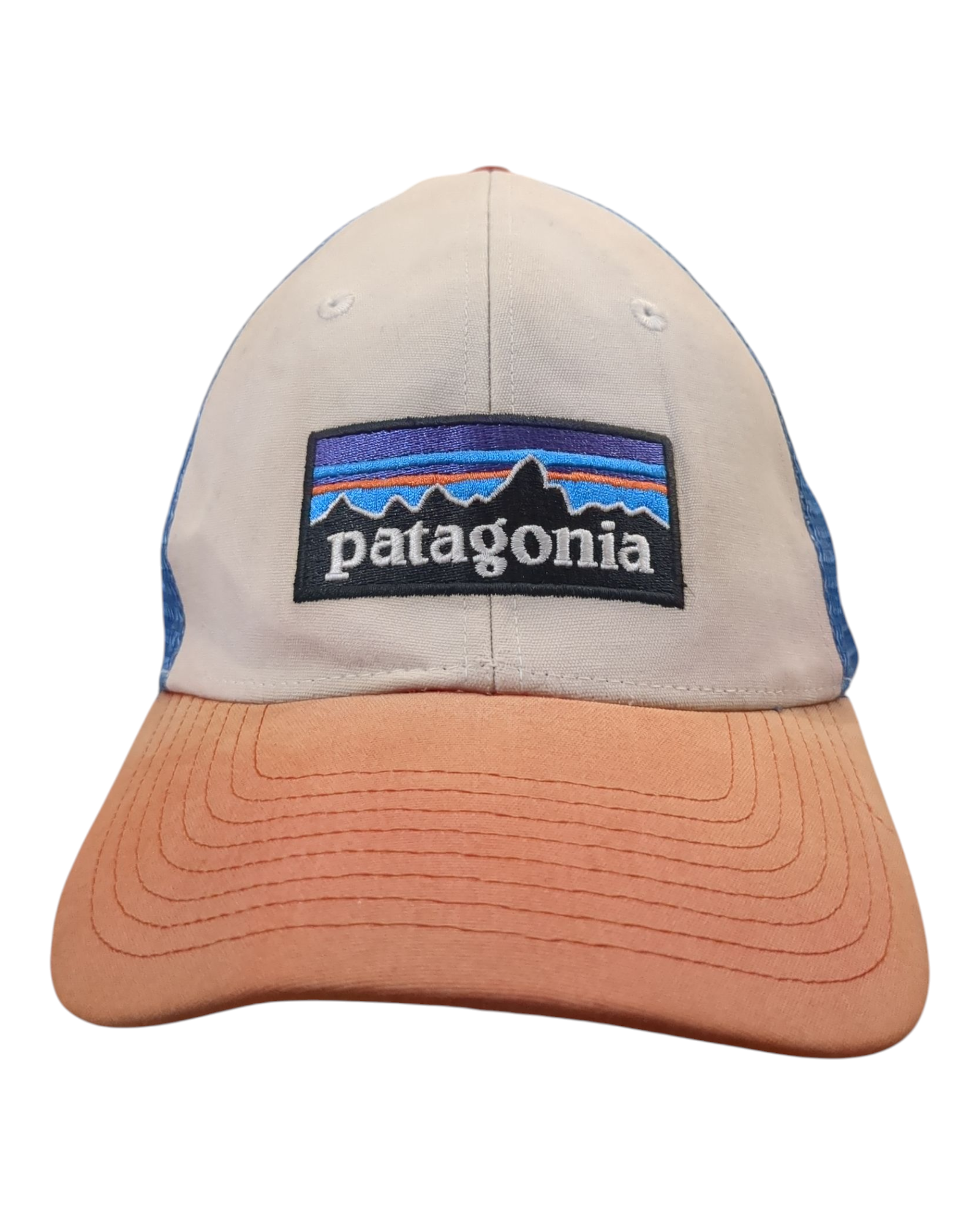 Patagonia P-6 Logo LoPro Trucker Cap