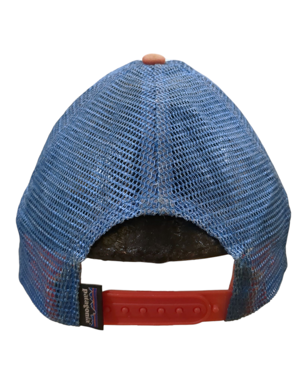 Patagonia P-6 Logo LoPro Trucker Cap