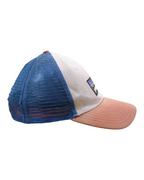 Patagonia P-6 Logo LoPro Trucker Cap