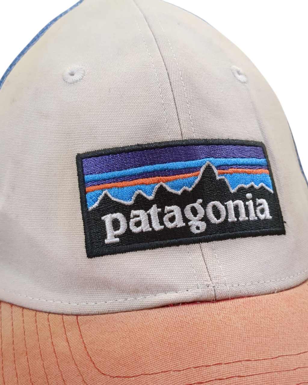 Patagonia P-6 Logo LoPro Trucker Cap