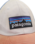 Patagonia P-6 Logo LoPro Trucker Cap