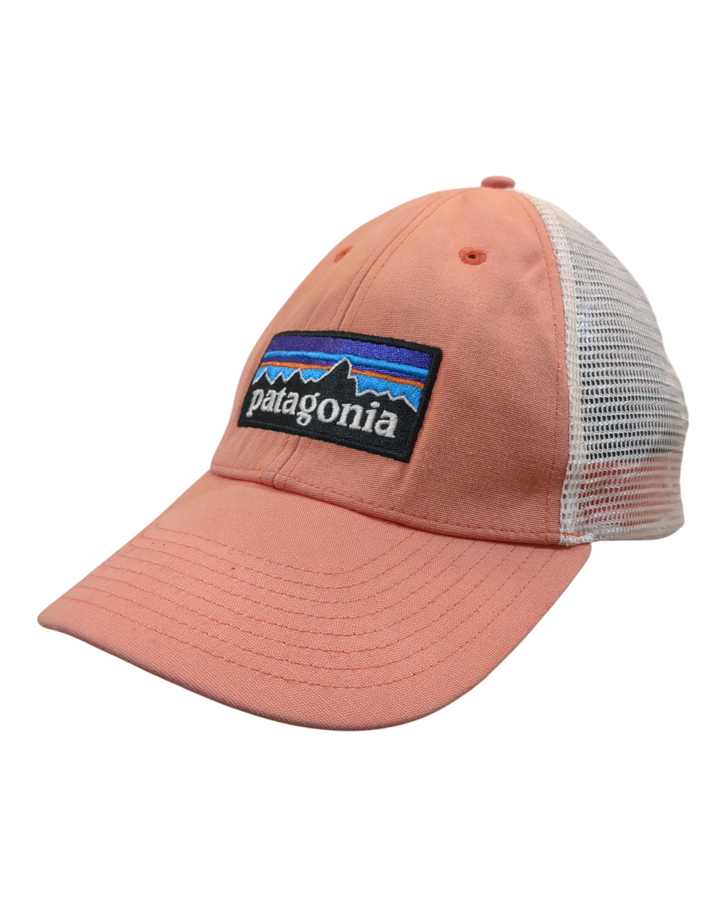 Patagonia P-6 Logo LoPro Trucker Cap