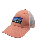 Patagonia P-6 Logo LoPro Trucker Cap
