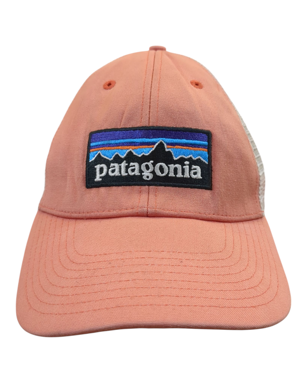 Patagonia P-6 Logo LoPro Trucker Cap