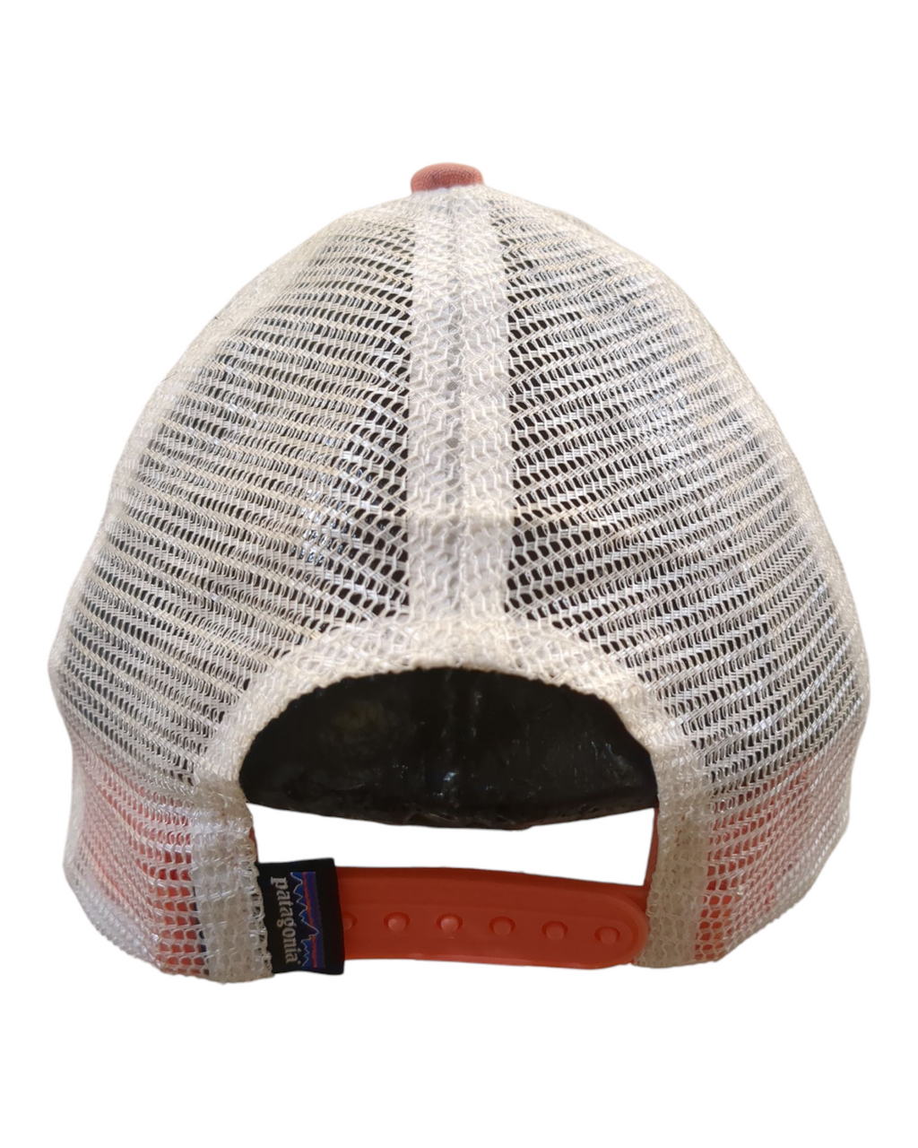 Patagonia P-6 Logo LoPro Trucker Cap