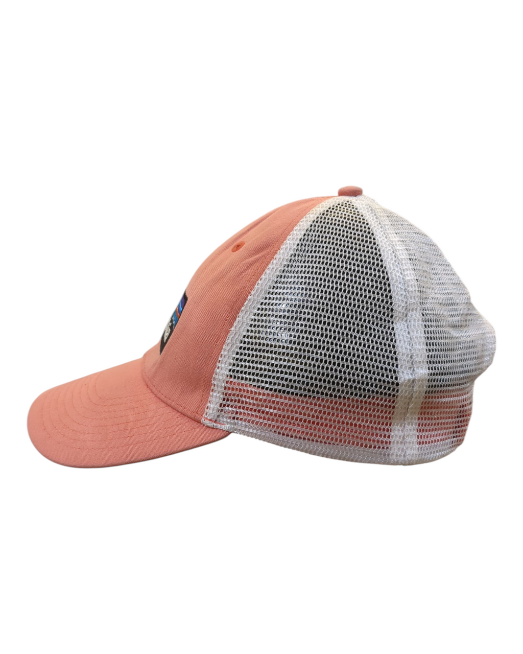 Patagonia P-6 Logo LoPro Trucker Cap