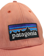 Patagonia P-6 Logo LoPro Trucker Cap