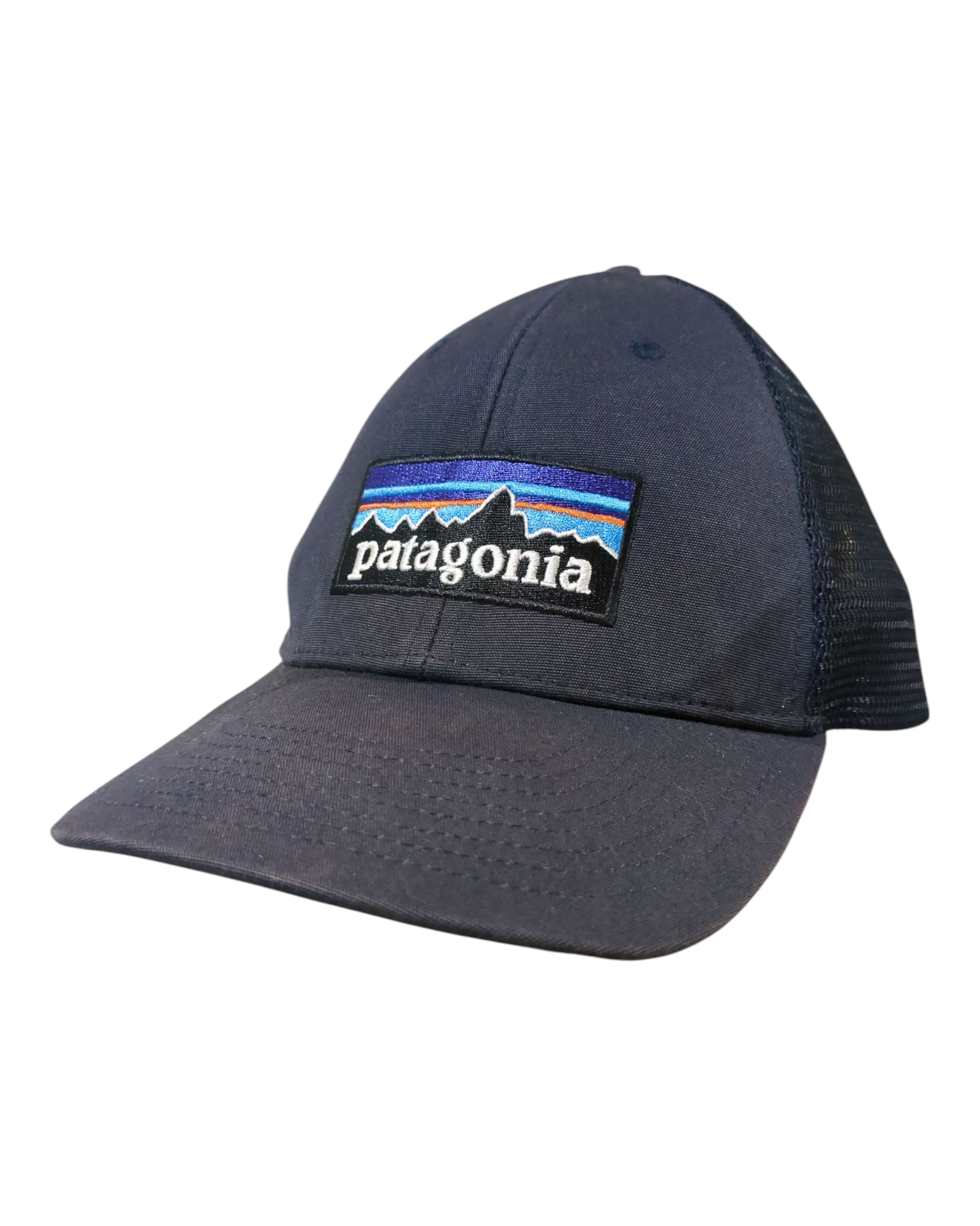 Patagonia P-6 Logo LoPro Trucker Cap