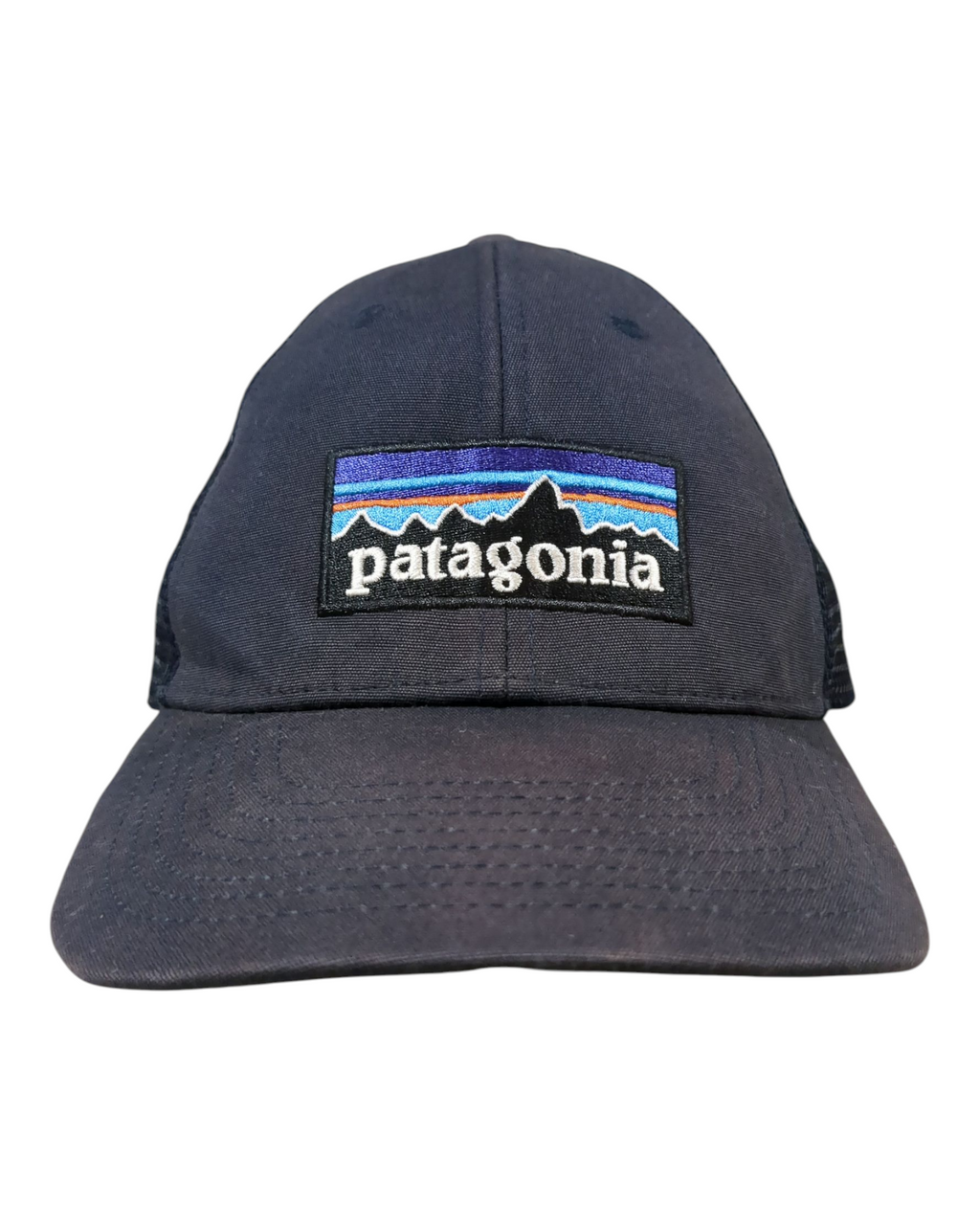 Patagonia P-6 Logo LoPro Trucker Cap