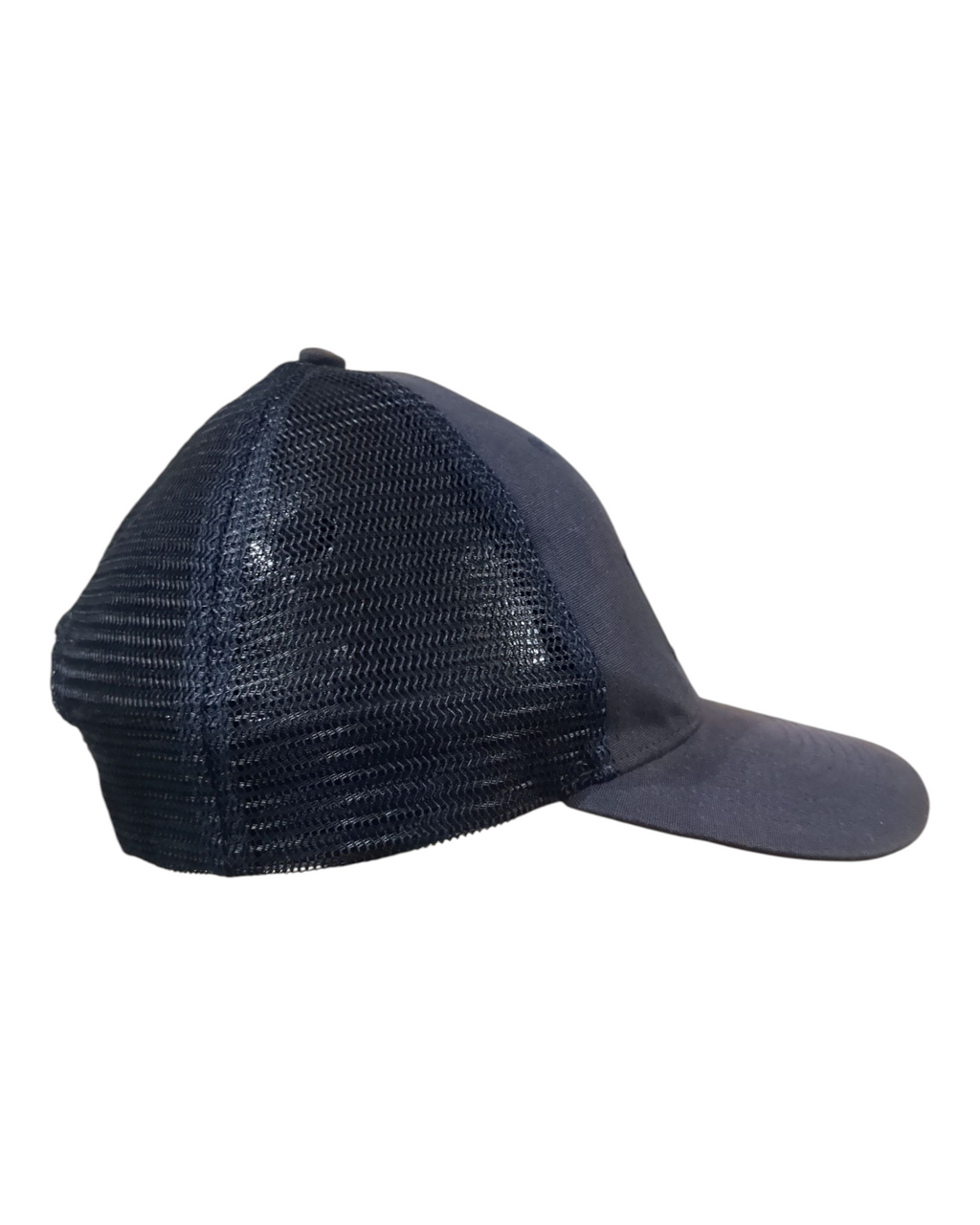 Patagonia P-6 Logo LoPro Trucker Cap