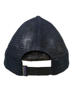 Patagonia P-6 Logo LoPro Trucker Cap