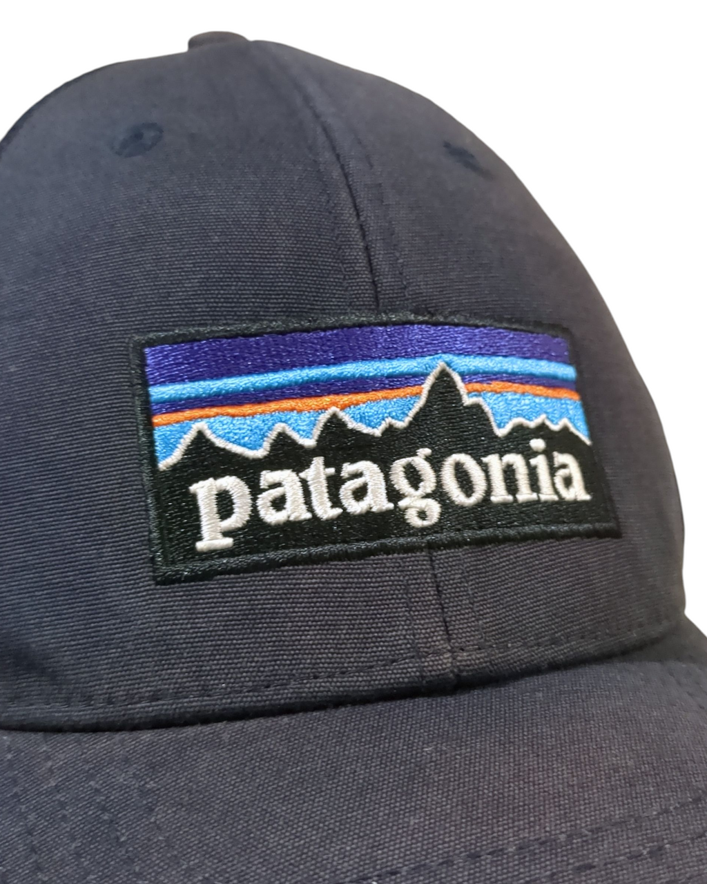 Patagonia P-6 Logo LoPro Trucker Cap