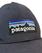 Patagonia P-6 Logo LoPro Trucker Cap