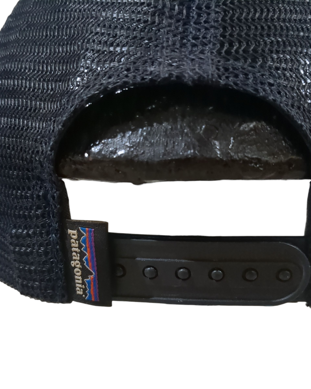 Patagonia P-6 Logo LoPro Trucker Cap