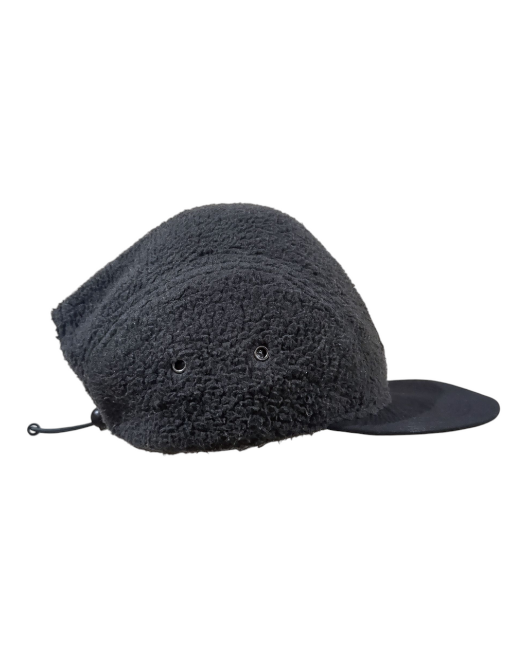 The North Face Sherpa Crusher 4-Panel Fleece Cap