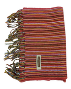 Guy Laroche Paris Striped Scarf