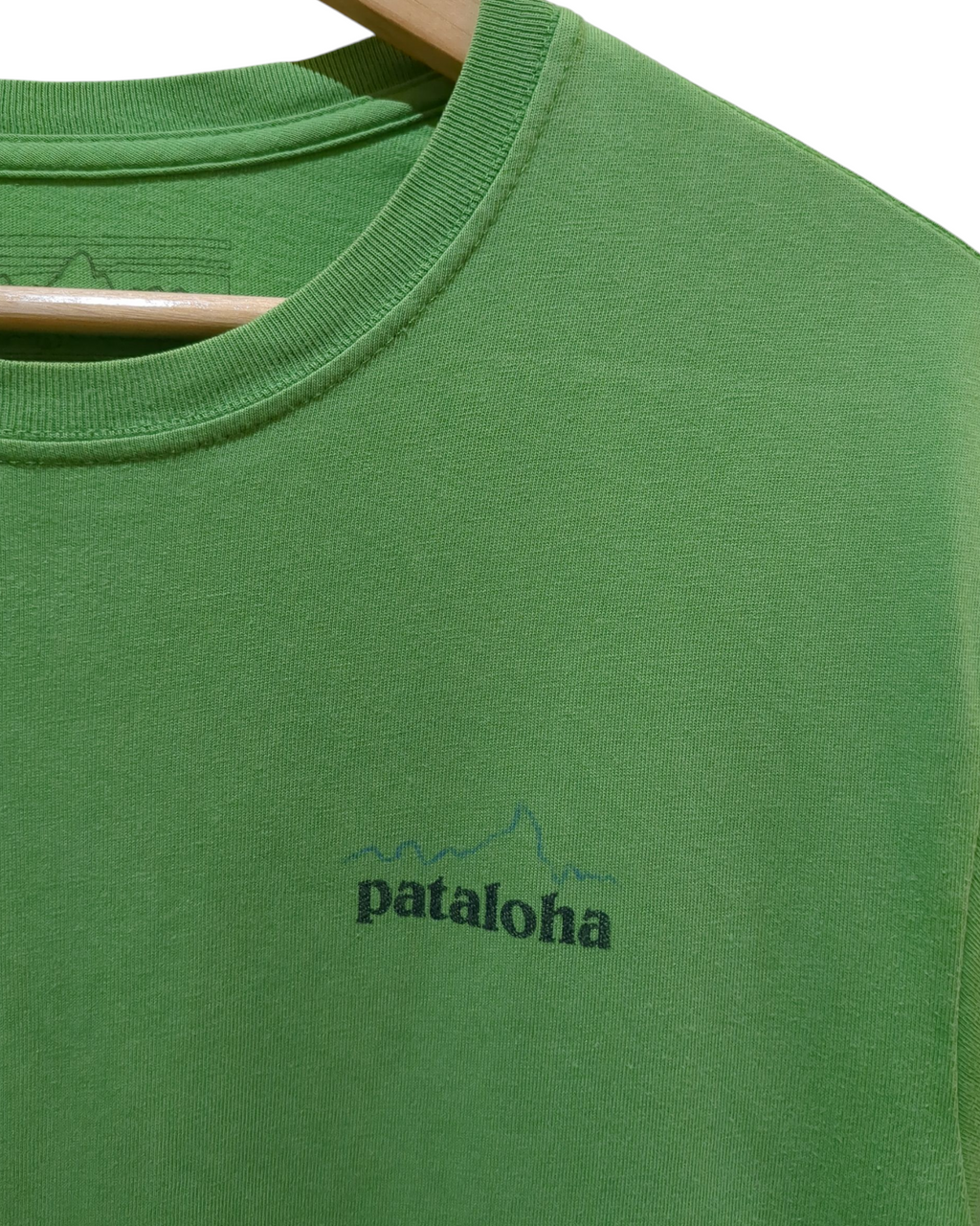 Patagonia P-6 Pataloha Tee - (M)