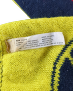 2015 Club America Supporters Scarf