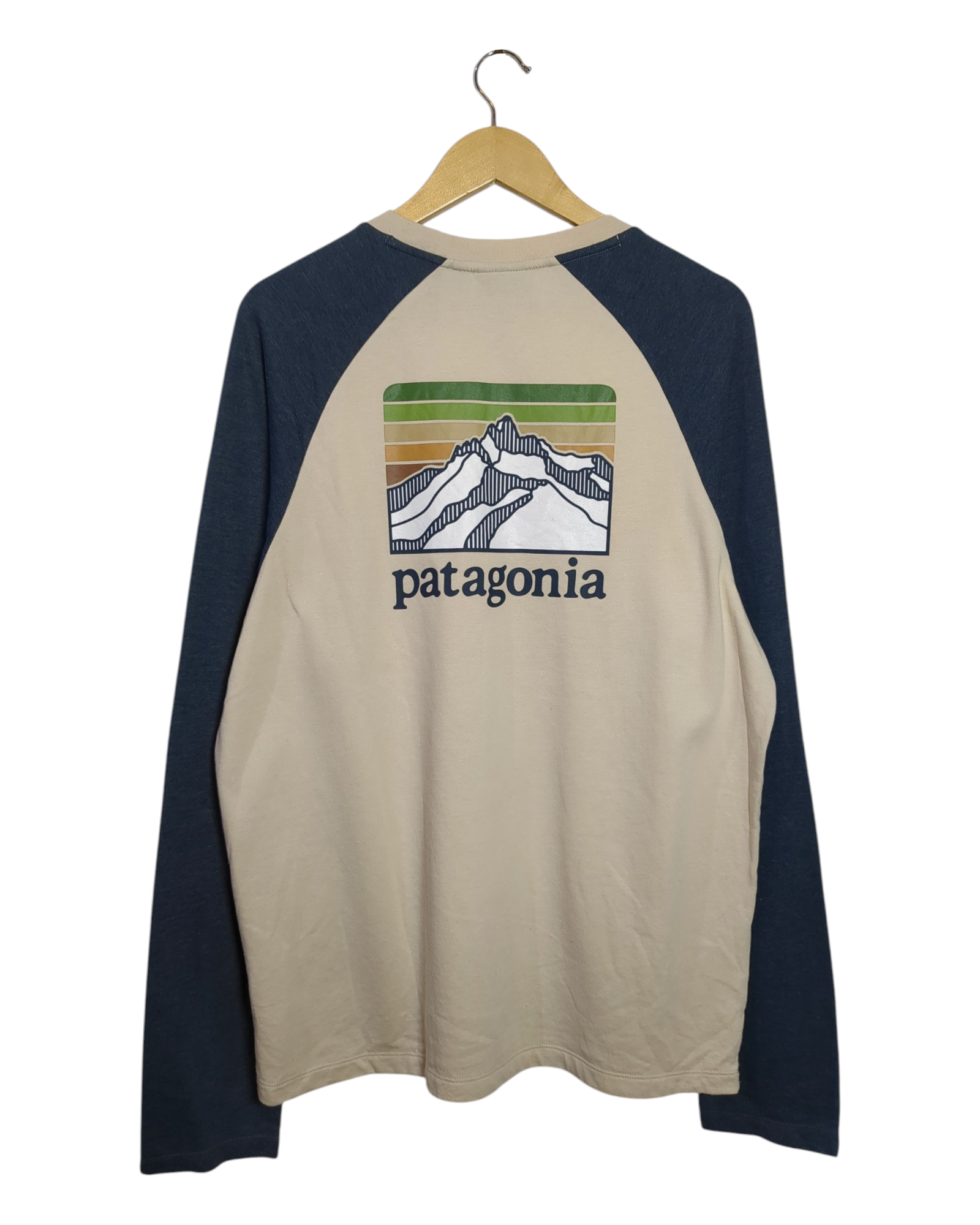 Patagonia Line Logo Ridge Sweatshirt - (L)