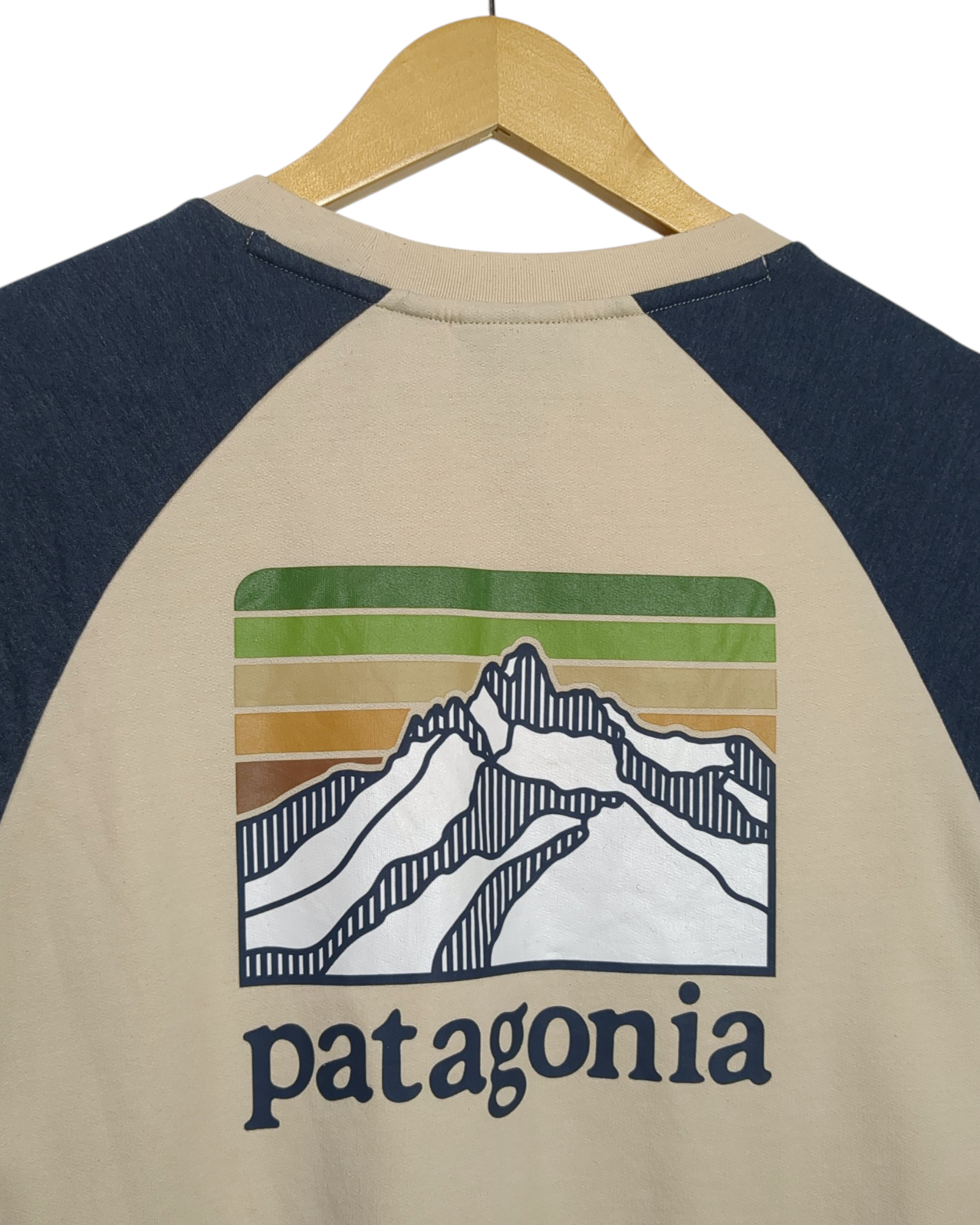 Patagonia Line Logo Ridge Sweatshirt - (L)