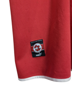 2002-04 Switzerland Puma Home Shirt - (L)