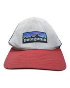 Patagonia P-6 Logo LoPro Trucker Cap
