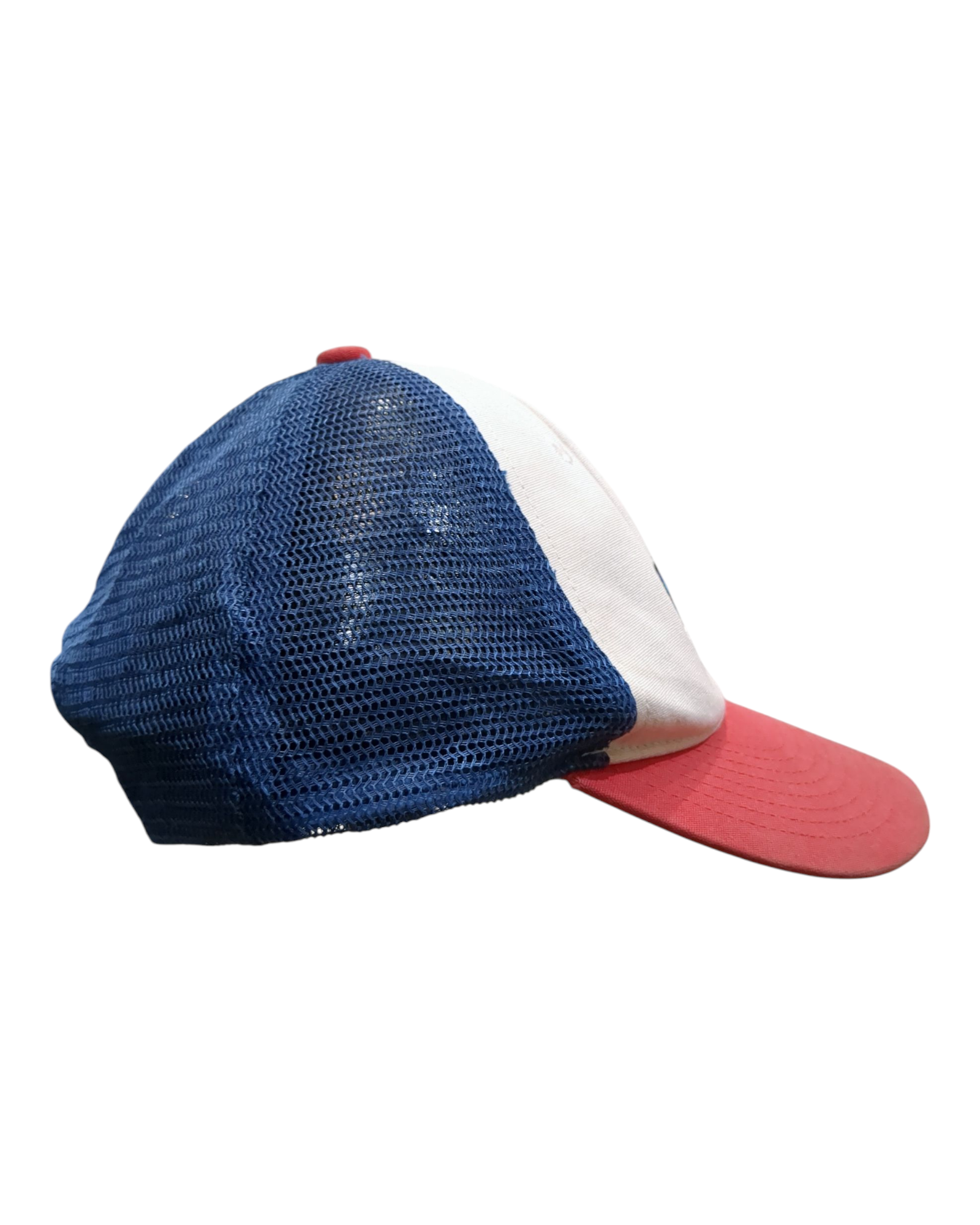 Patagonia P-6 Logo LoPro Trucker Cap