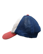 Patagonia P-6 Logo LoPro Trucker Cap