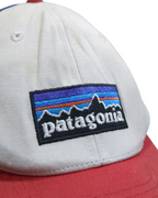 Patagonia P-6 Logo LoPro Trucker Cap