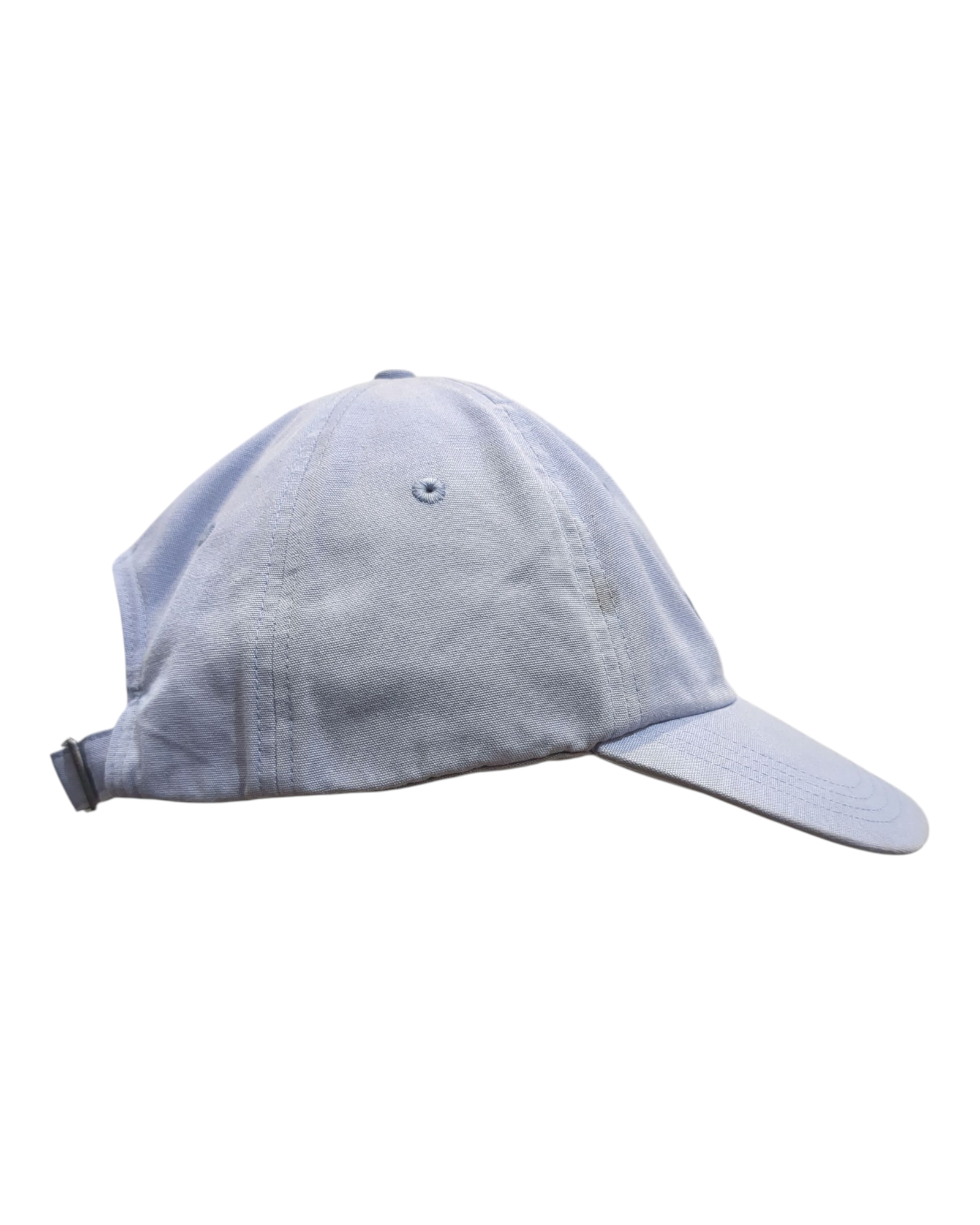 Patagonia P-6 Label Trad Cap