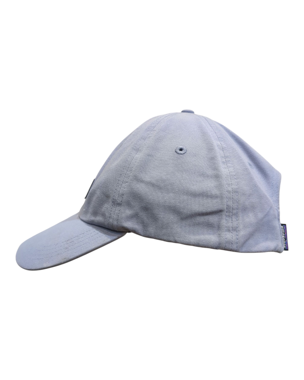 Patagonia P-6 Label Trad Cap