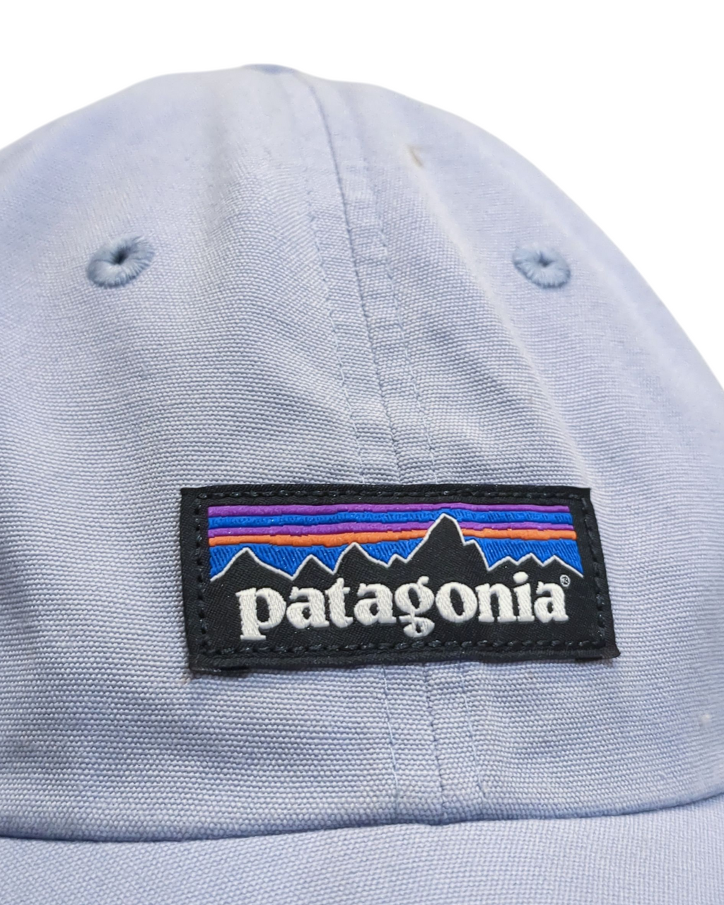 Patagonia P-6 Label Trad Cap